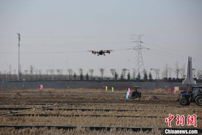 植保无人机在不同区域巡回喷洒土壤调节剂。　胡耀杰 摄